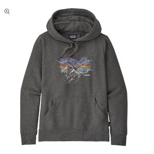 PATAGONIA Raindrop Peak Ahnya Hoodie Sweater Size M